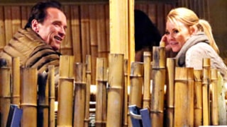 Arnold Schwarzenegger Dating Physical Therapist Heather Milligan: Report