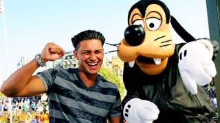 Pauly D