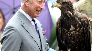 Royal (Wacky!) Grandpop!