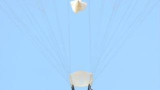 AnnaLynne Flying High