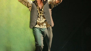 Bruno Goes Wild