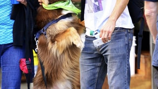 Puppy Pucker