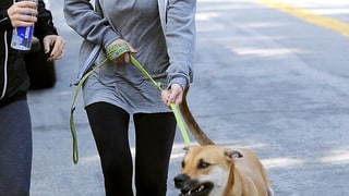 Lauren Conrad