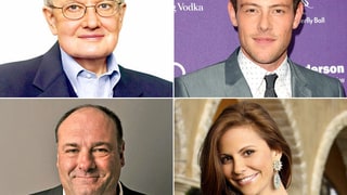 Celebrity Deaths in 2013