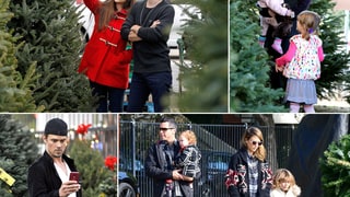 Celebrities Buying Christmas Trees