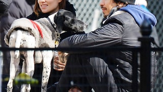 Doggone Adorable!
