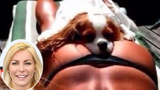 Crystal Harris Posts Photo of Dog Resting in Her Butt Crack: Picture