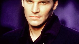 David Boreanaz: Then