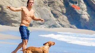 They Play Frisbee With Their Dogs!
