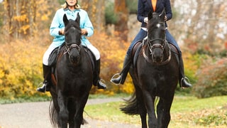 Martha Stewart, Ann Curry
