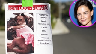 Suri Cruise Loses Her Dog in Los Angeles: See the Missing Poster