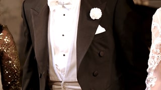 Matthew Broderick (It's Only a Play)
