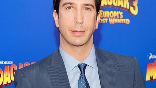 David Schwimmer Now