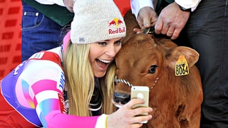 Lindsey Has a Cow!