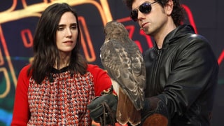 Put a Hawk on It