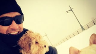 Hugh Jackman Enjoys a New York Snow Day With His Puppies!