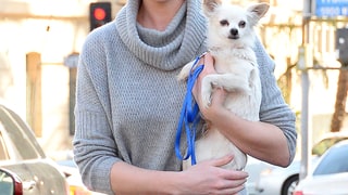 Heigl and Hound