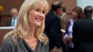 Laura Dern – Little Fockers (2010)