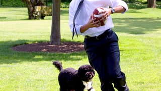 President Barack Obama and Bo