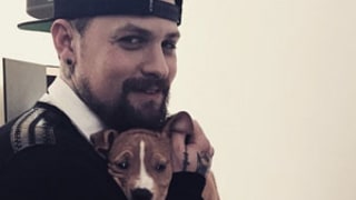 Benji Madden Sends Cameron Diaz Cute Puppy Instagram, Missing His