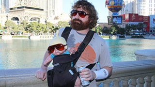 Zach Galifianakis Impersonator Makes $250,000 a Year as Hangover Character