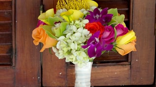 Coming Up Roses (and More!)