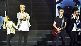 One Direction Plans Next Album Without Zayn Malik, Niall Horan