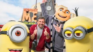 Despicable Fun