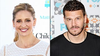 David Boreanaz Wishes Sarah Michelle Gellar a Happy Birthday, She Calls Him