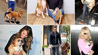 Celebs and Their Pets