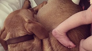 Haylie Duff Posts First Photo of Baby Girl Ryan: See Her Little Legs!
