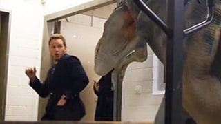 Chris Pratt, Star of Jurassic World, Is Frightened by Fake Dinosaurs in Funny Prank: Watch the Video