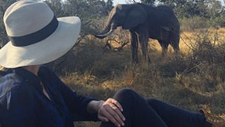 Nicky Hilton Casually Encounters an Elephant While Honeymooning With James Rothschild: Picture