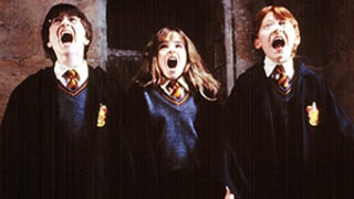 Harry Potter Director Chris Columbus Wants More Movies, 19 Years of Stories