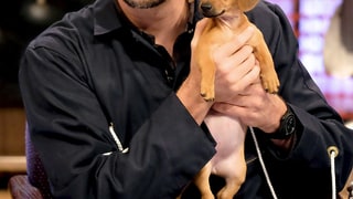 Too Cute!