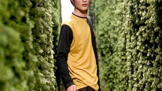 Cedric Diggory
