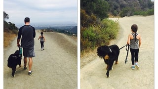 Morning Stroll