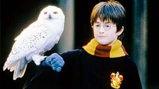 J.K. Rowling Details Harry Potter's Family History - And How They Got So Rich!