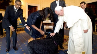 Pope Plus Puppies!