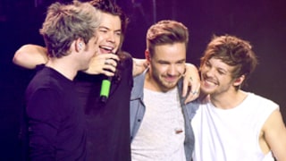 One Direction Fans React to Boy Band's Last Show Before 2016 Hiatus: Watch!