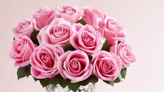 Blush and Bloom by Flower Beauty