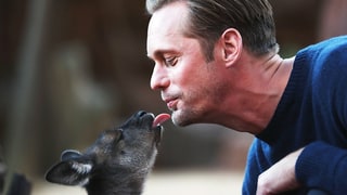 Alexander Skarsgard Cuddling With Kangaroos and Snakes at Australian Zoo Will Definitely Cheer You Up