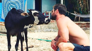 One With the Animals