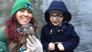 Anna Faris, Chris Pratt's Adorable Son Jack Meets the Penguin He Named for the First Time