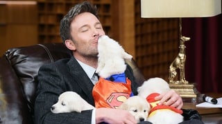 Ben Affleck Cuddles Superhero Puppies During Game of 'Pup Quiz' With Jimmy Fallon