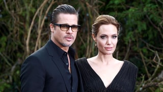 Brad Pitt, Angelina Jolie Reach Temporary Custody Agreement After Messy Split