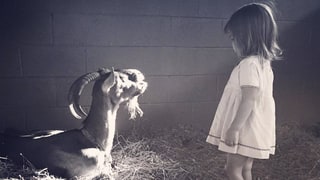 Channing Tatum Says Goodbye to Beloved Pet Goat With Sweet Everly Photo