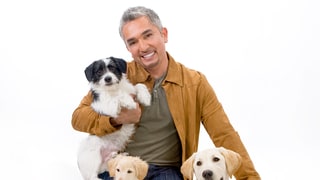 Cesar Millan’s Tips on How to Prepare Your Dog for a Baby