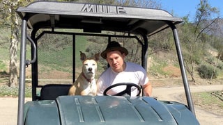 They Steer Wheels!