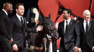 Upstaged by a Horse